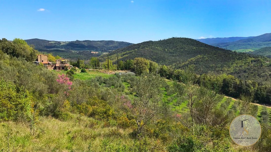 Country House in Centro, Grosseto, Tuscany 5 - 19015227