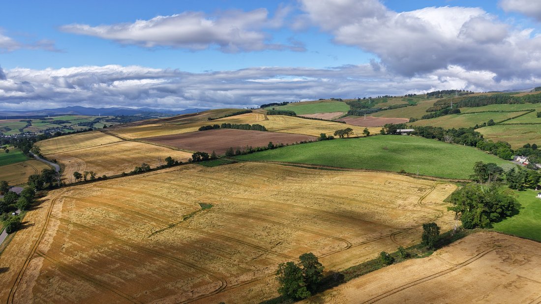 Farm Ranch in Dingwall, Scotland 1 - 19009398