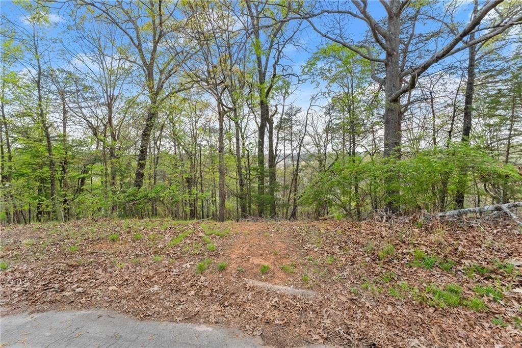 Terreno a Gainesville, Georgia, Stati Uniti 5 - 19009987