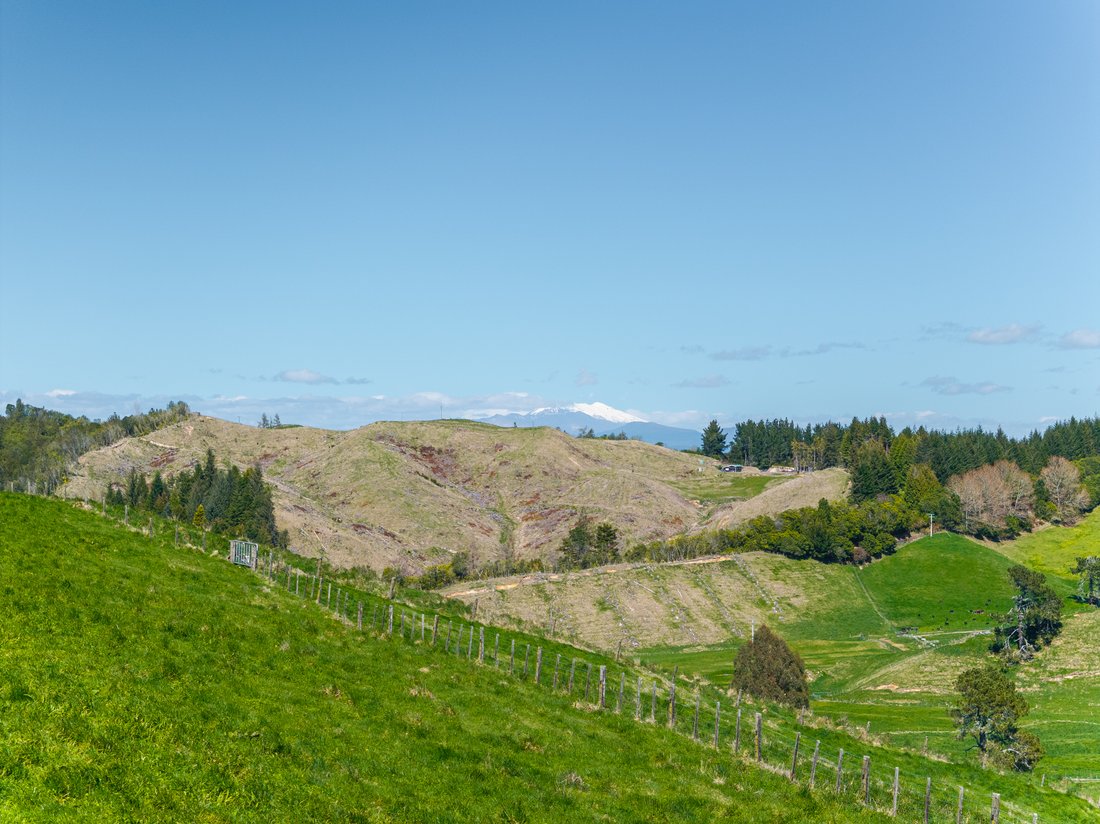 Land in Taupo, Waikato, New Zealand 4 - 19017828