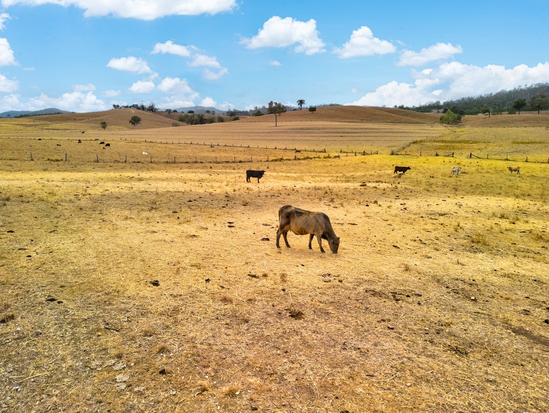 Land in Bryden, Queensland, Australia 3 - 19016533