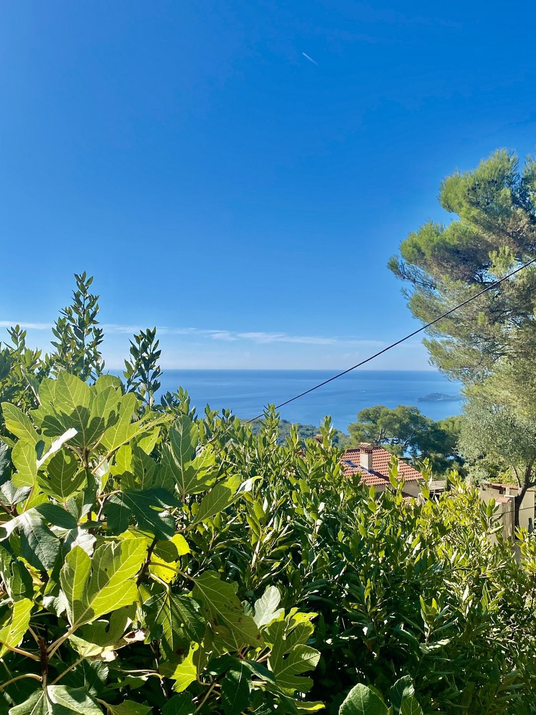 House in La Turbie, Provence-Alpes-Côte d'Azur, France 1 - 17776419