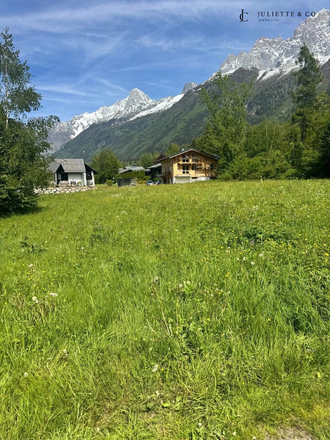 Land in Chamonix-Mont-Blanc, Auvergne-Rhône-Alpes, France 5 - 19016612