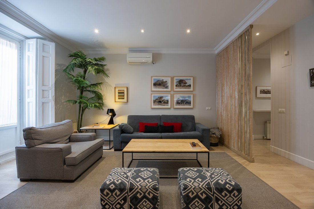 Apartment in Centro, Madrid, Spain 2 - 19018356