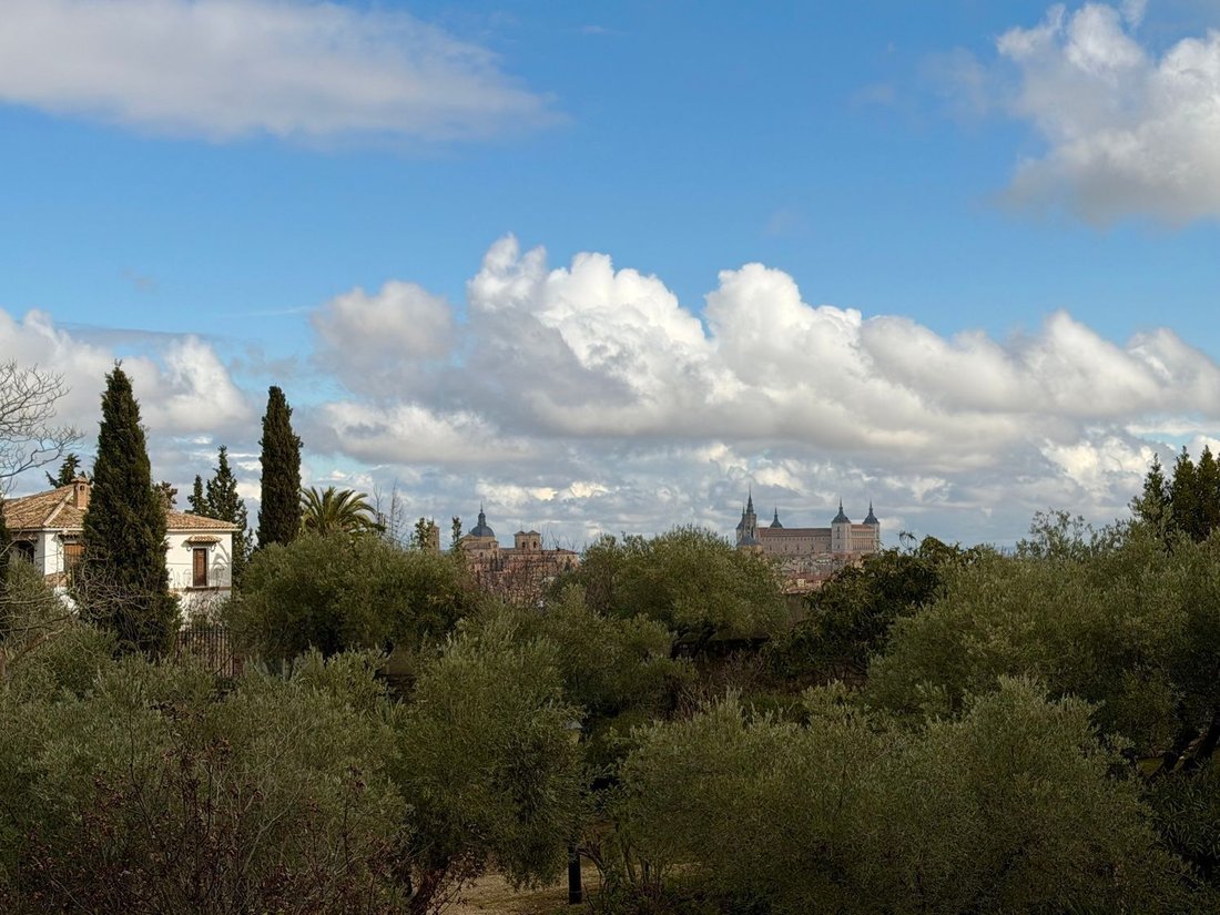 Villa in Toledo, Castile-La Mancha, Spain 4 - 19018449