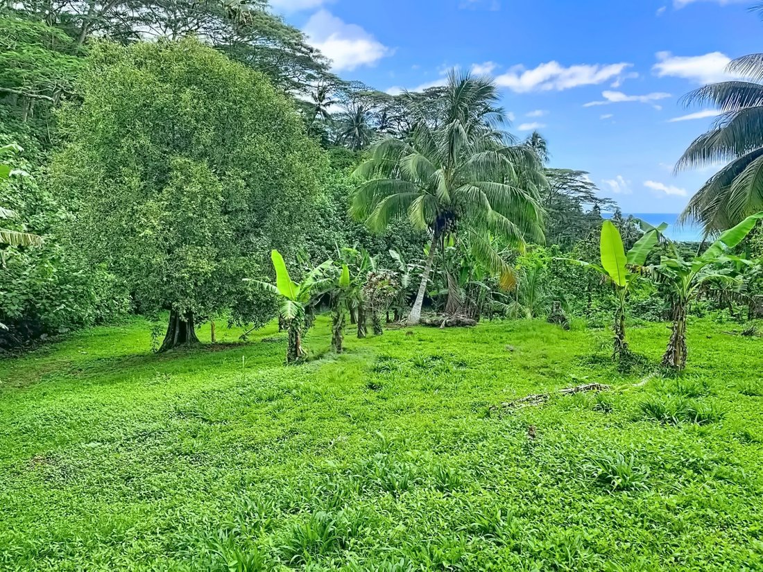 Terreno a Moorea-Maiao, Isole del Vento, Polinesia Francese 2 - 16568028