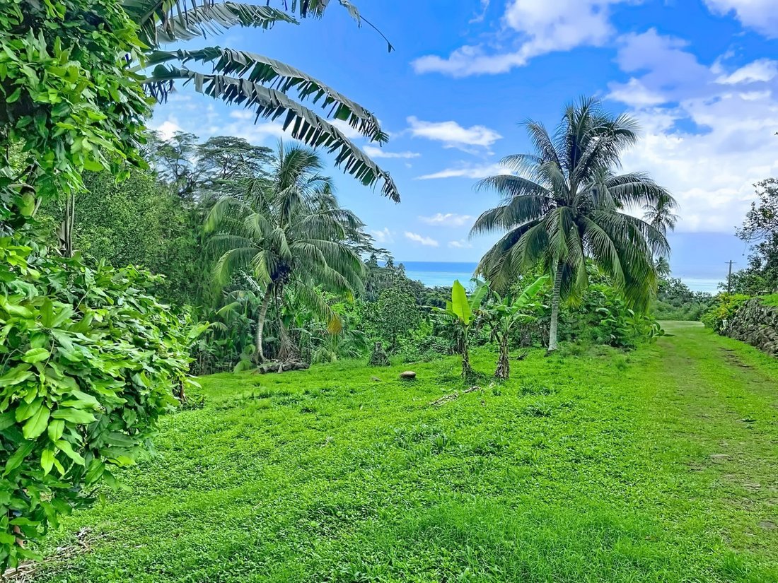 Terreno a Moorea-Maiao, Isole del Vento, Polinesia Francese 1 - 16568028