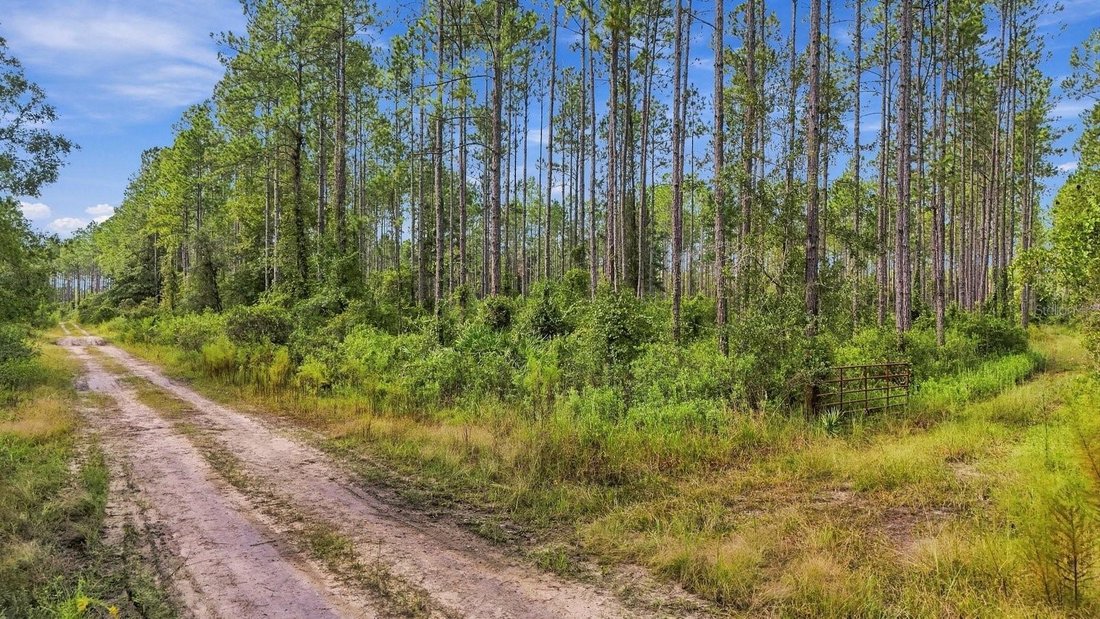 Terreno a Bronson, Florida, Stati Uniti 3 - 19017586