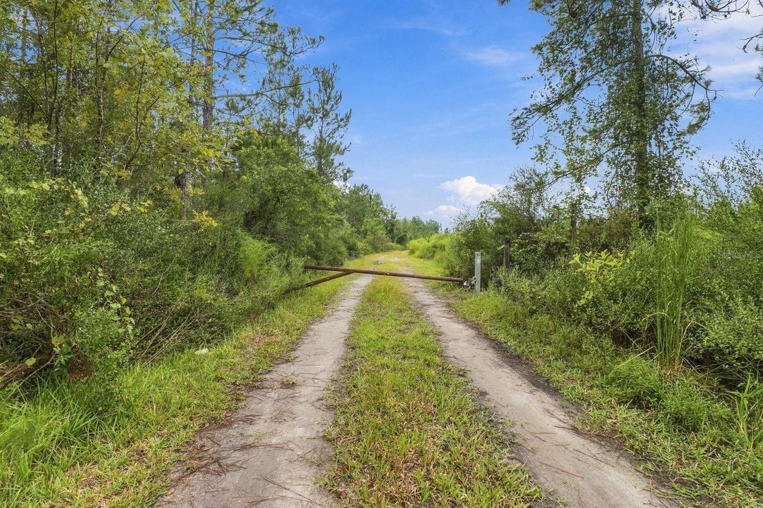 Terreno a Bronson, Florida, Stati Uniti 2 - 19017586