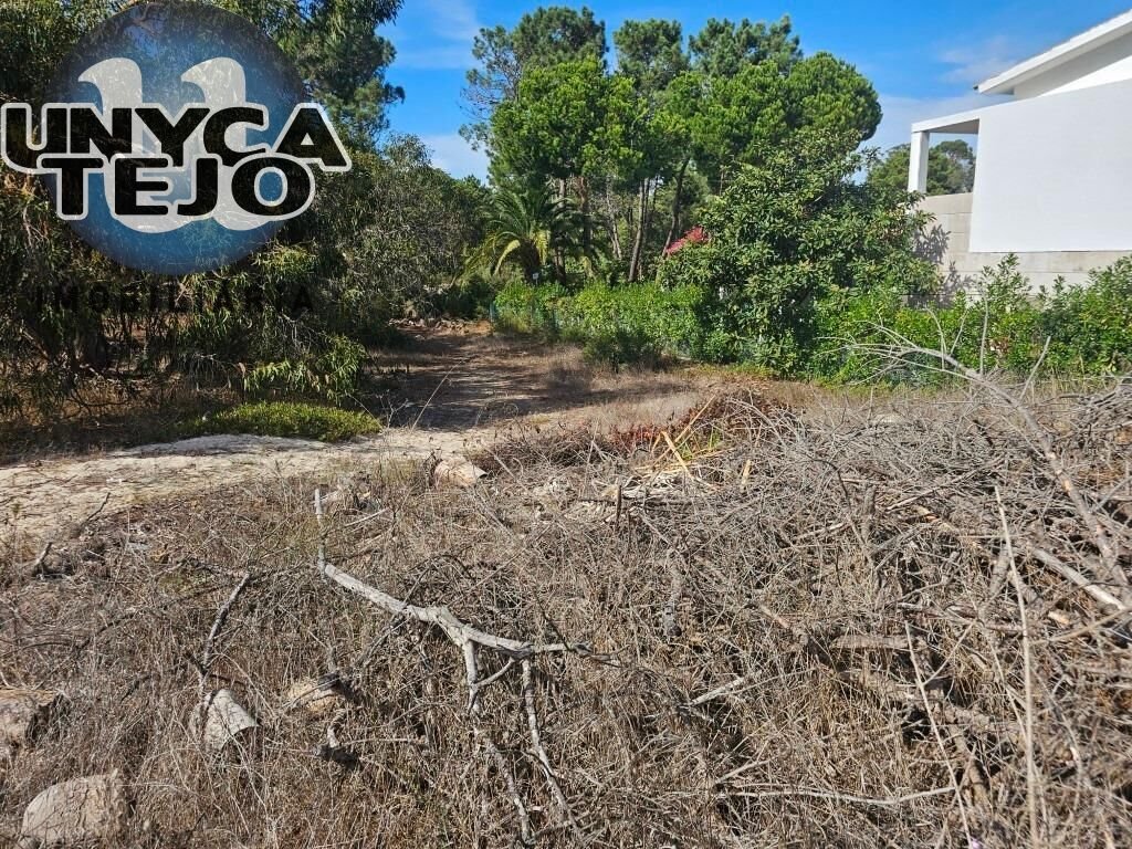 Land in Carvalhal, Setubal, Portugal 1 - 19017979