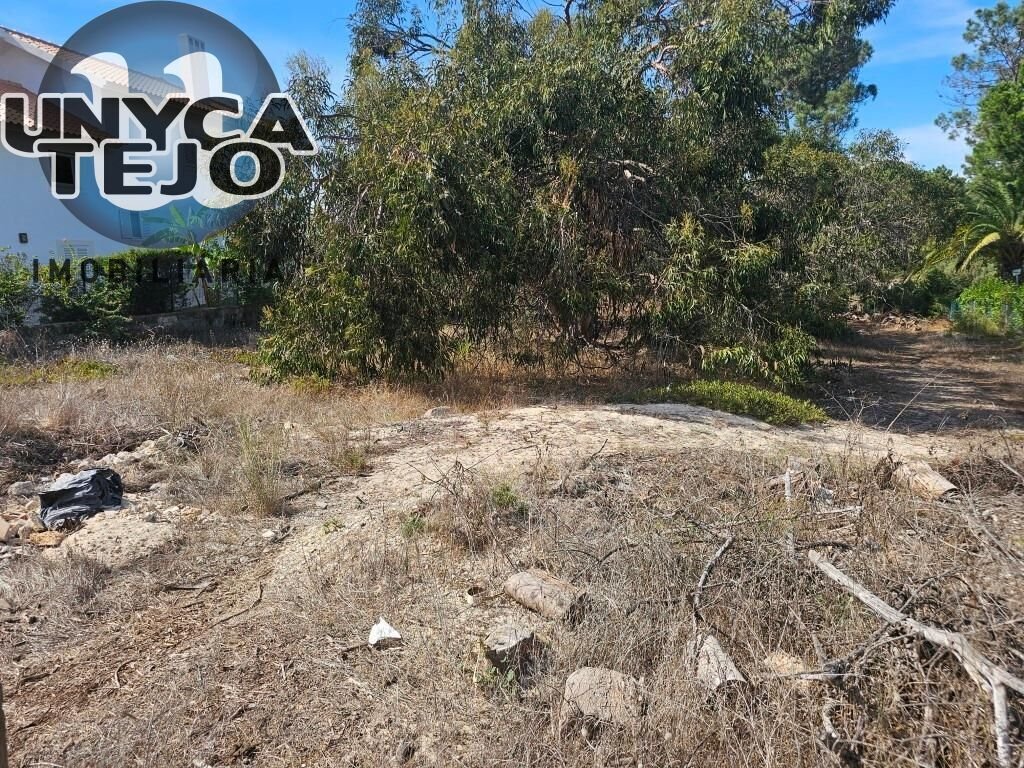 Land in Carvalhal, Setubal, Portugal 5 - 19017979