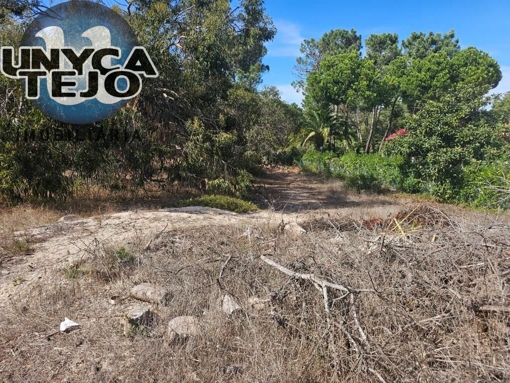 Land in Carvalhal, Setubal, Portugal 2 - 19017979