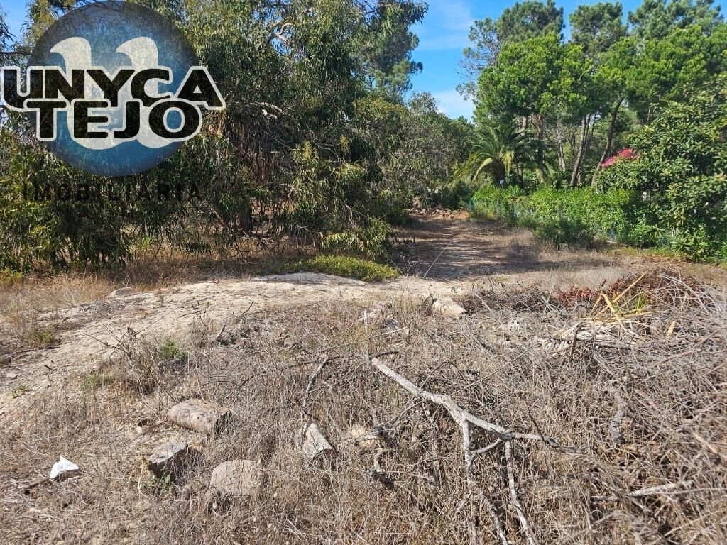Land in Carvalhal, Setubal, Portugal 4 - 19017979