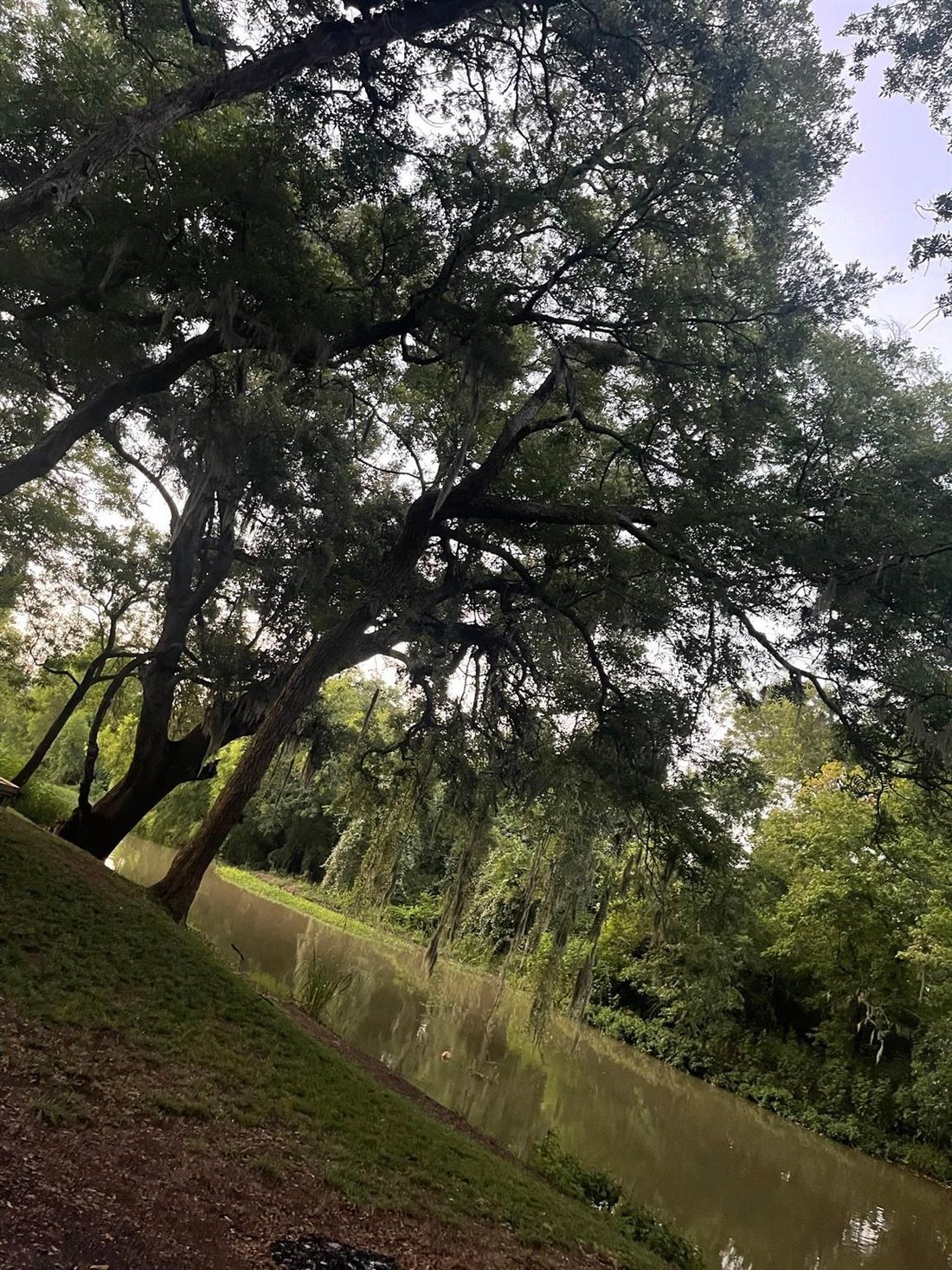 House in Lake Jackson, Texas, United States 3 - 19018033