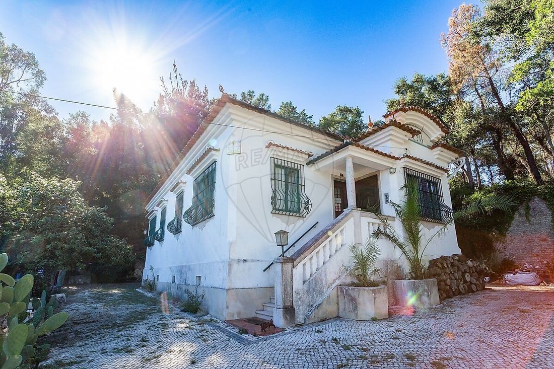 Farm Ranch in Ramada e Canecas, Lisbon, Portugal 2 - 19018205