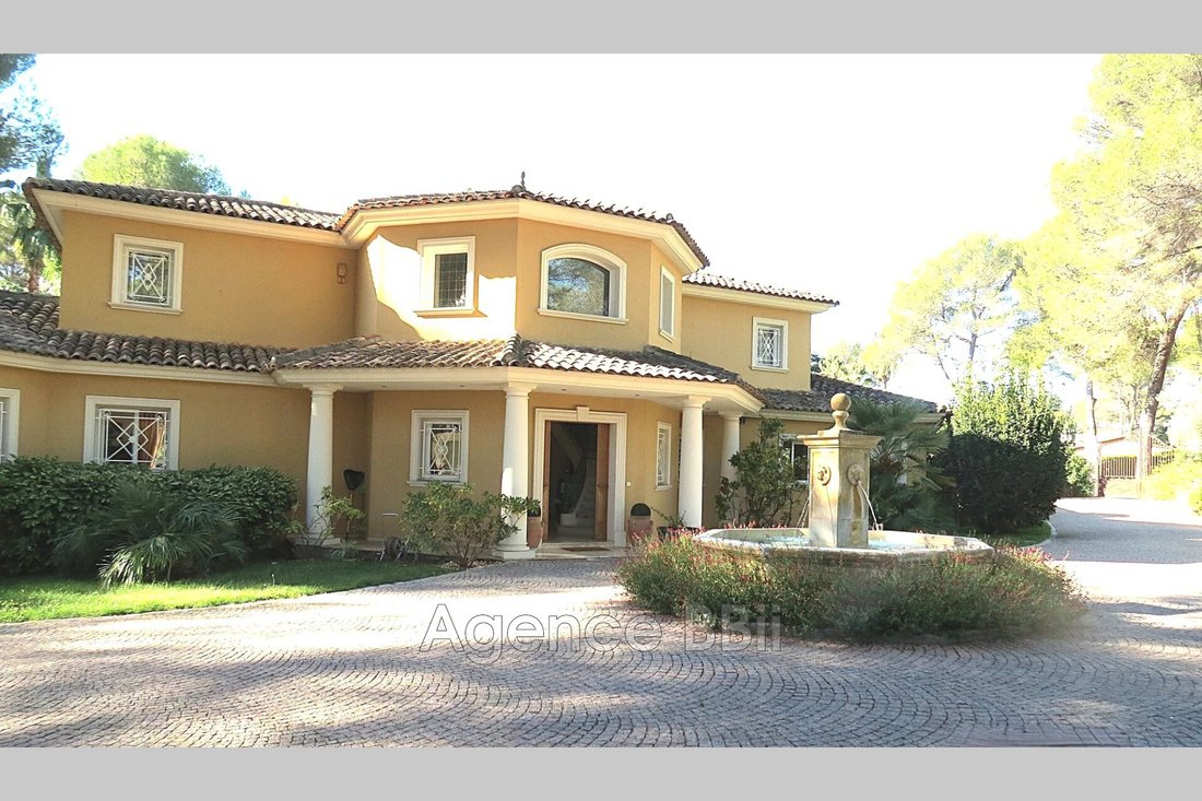 Villa in Mougins, Provence-Alpes-Côte d'Azur, France 1 - 19018233