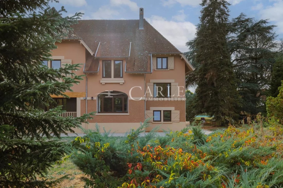 Estate in Saint-Jean-de-Niost, Auvergne-Rhône-Alpes, France 2 - 19018451