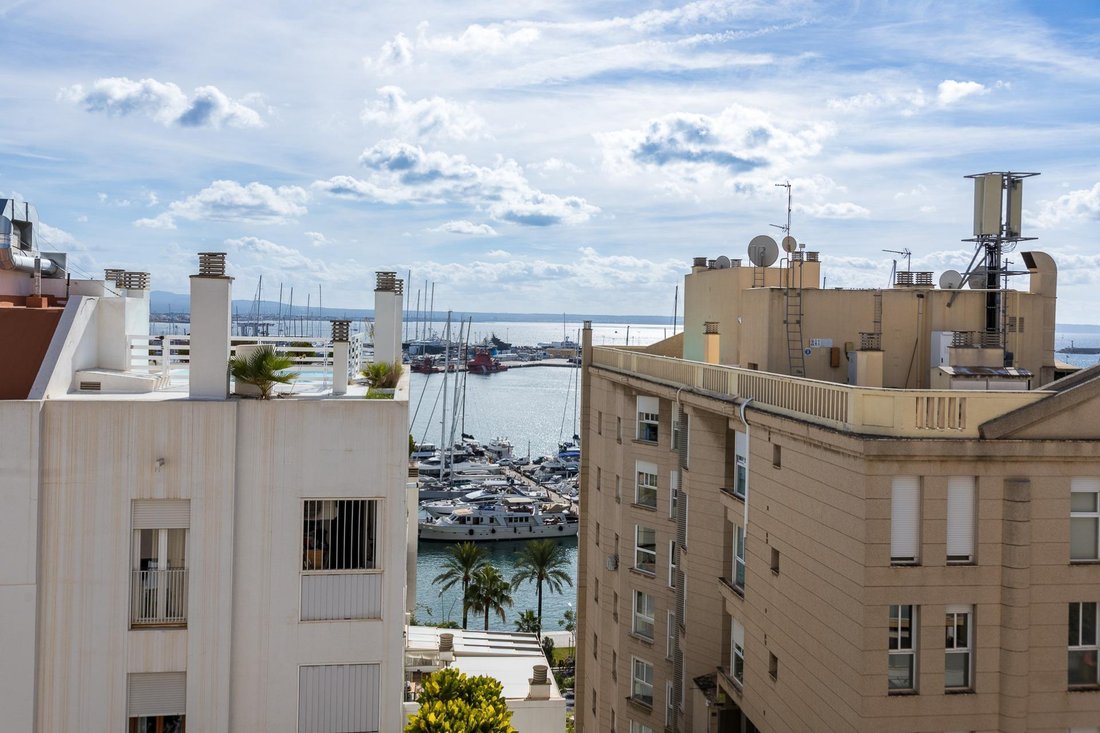 Penthouse en Palma, Islas Baleares, España 5 - 19018826