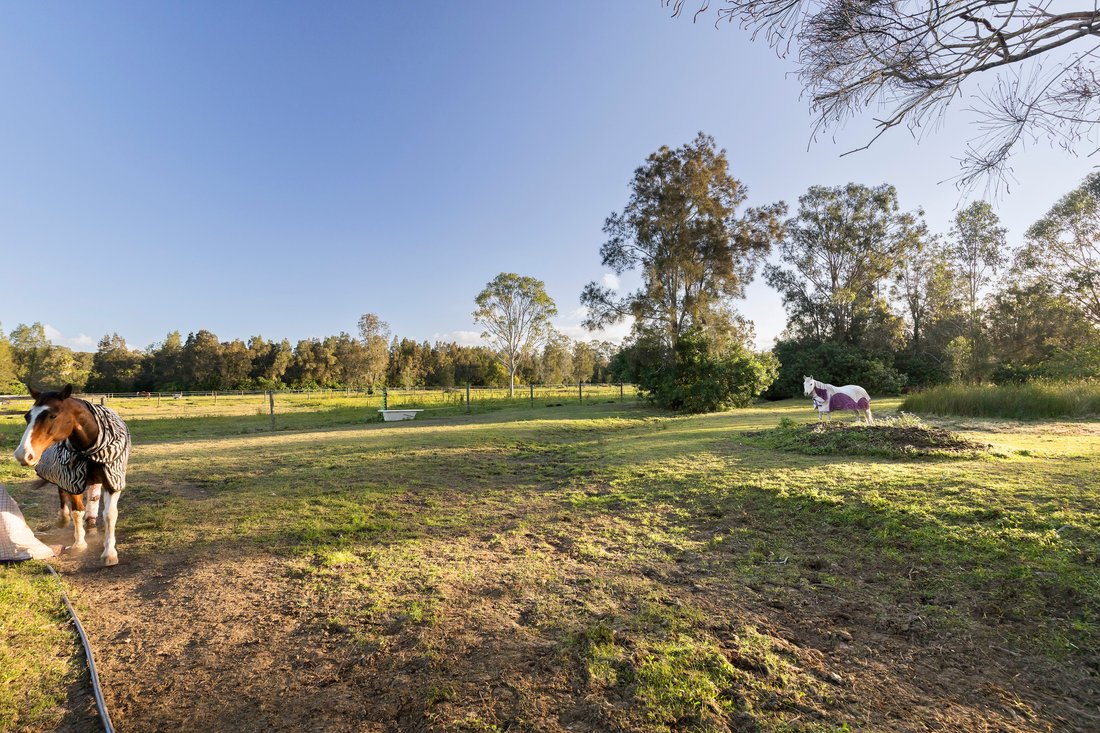 Azienda agricola in Tallebudgera, Queensland, Australia 5 - 19018811