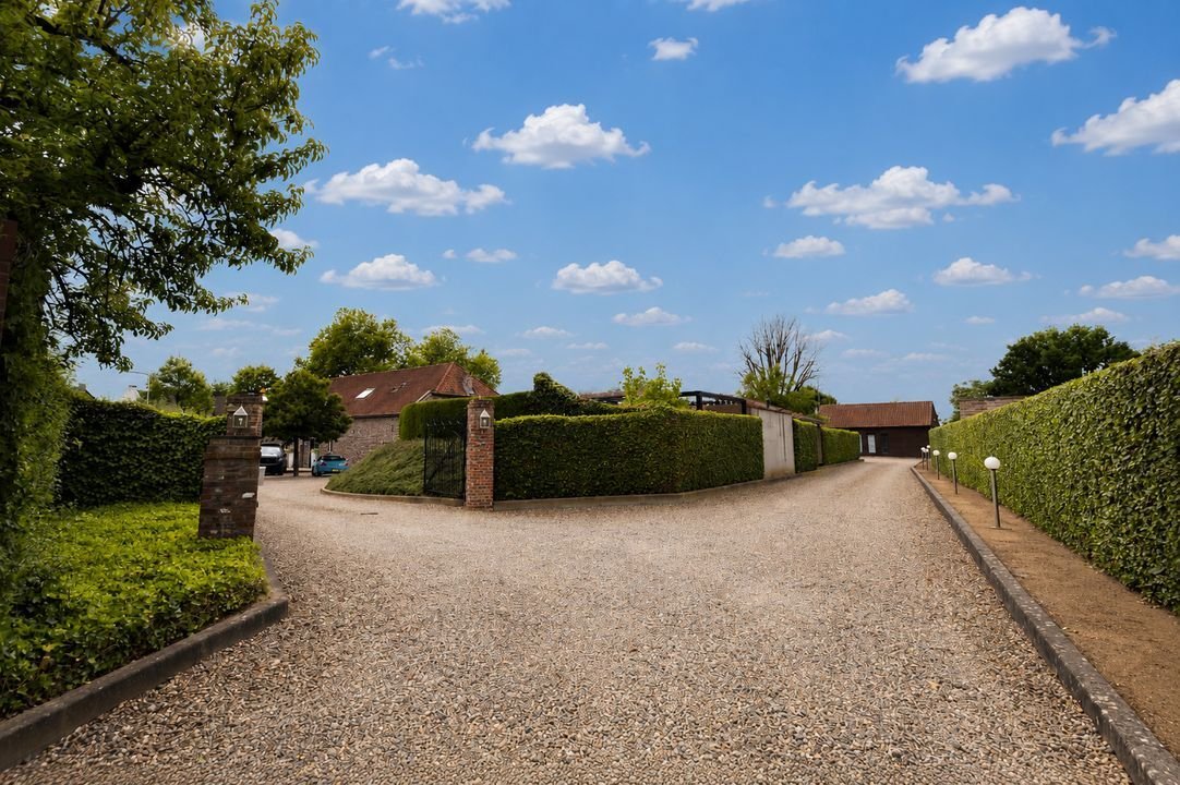 Farm Ranch in Herten, Limburg, Netherlands 2 - 19019210