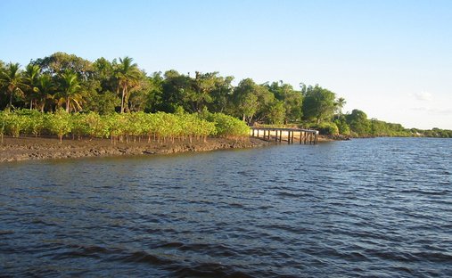 Private Island in Caravelas, State of Bahia, Brazil 1