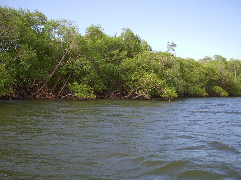 Private Island in Caravelas, State of Bahia, Brazil 3 - 19019472