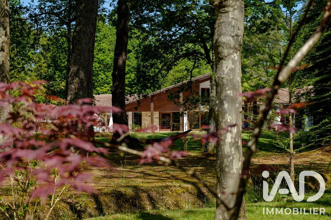 Casa en Saint-Paul-lès-Dax, Nueva Aquitania, Francia 2 - 19019646