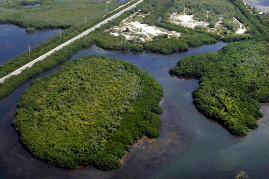 Private Island in Marathon, Florida, United States 1 - 19019513