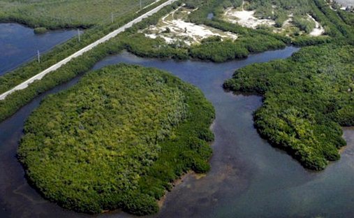 Private Island in Marathon, Florida, United States 1