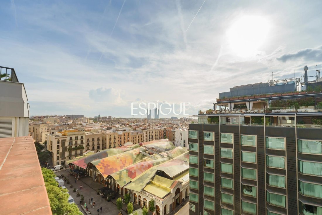 Penthouse in Ciutat Vella, Barcelona, Spain 3 - 19020079
