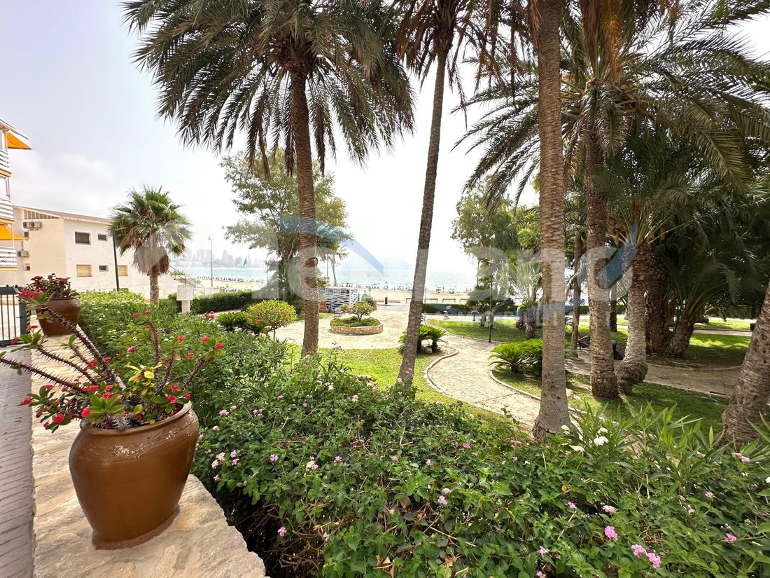 Apartment in Benidorm, Valencian Community, Spain 1 - 19021629