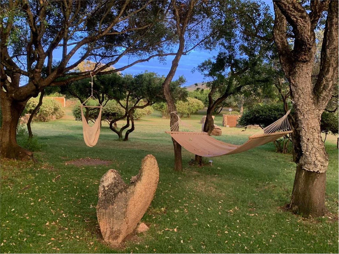 Villa à Murta Maria - Le Vecchie Saline - Porto Istana, Olbia, Sardaigne 4 - 19023544