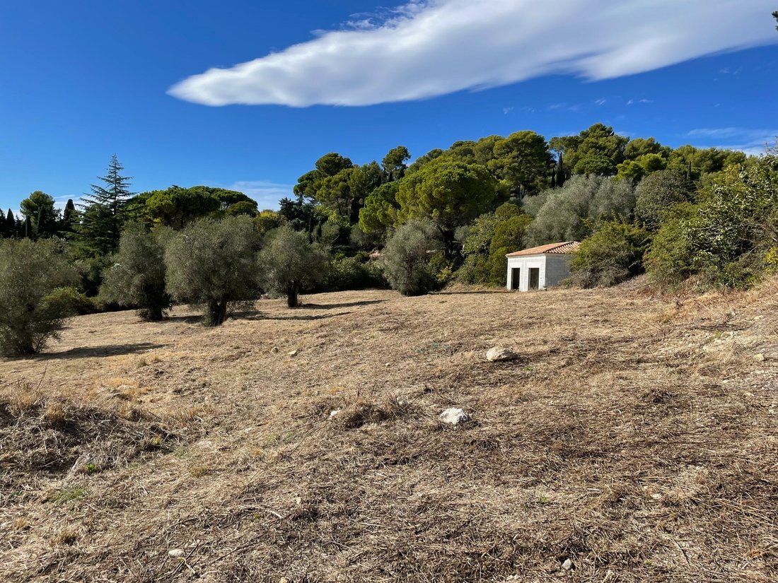 Land in Mougins, Provence-Alpes-Côte d'Azur, France 2 - 19028151