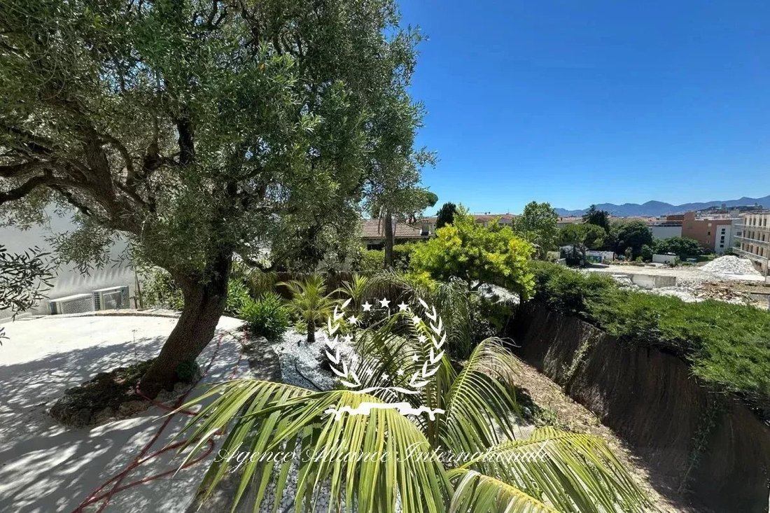 Apartment in Cannes, Provence-Alpes-Côte d'Azur, France 2 - 19029938