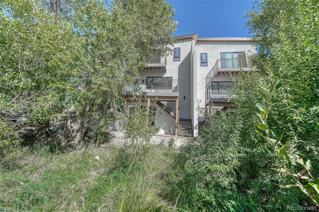 Townhouse in Salida, Colorado, United States 1 - 19029264