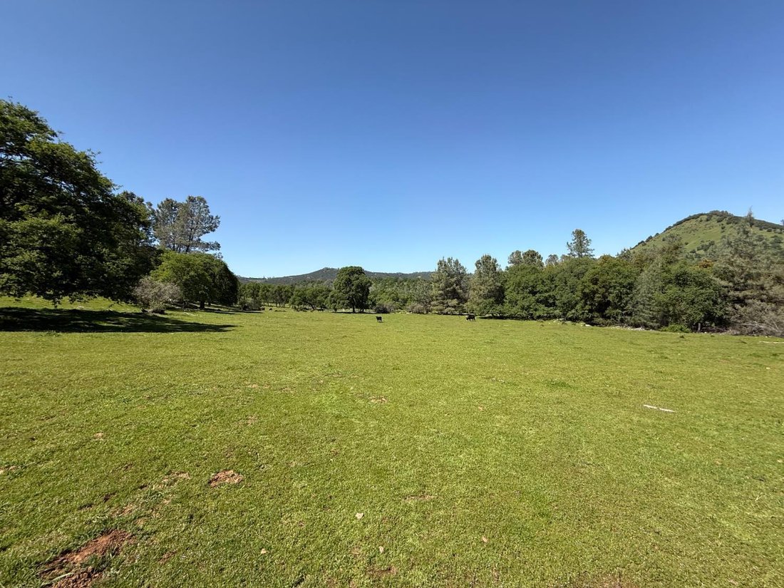 Land in Vallecito, Kalifornien, Vereinigte Staaten 2 - 19033859