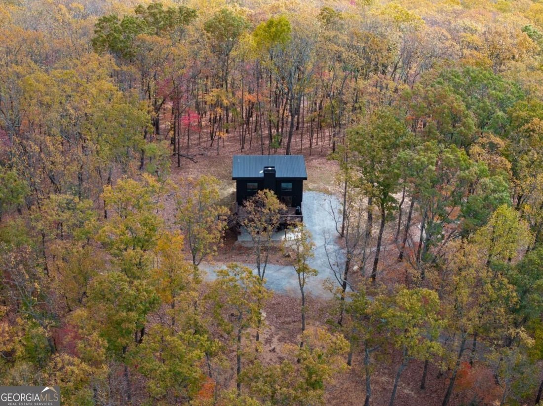 House in Blue Ridge, Georgia, United States 2 - 19030942