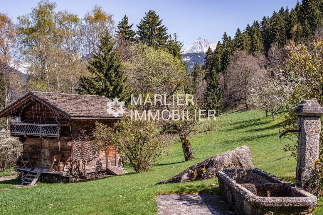 Chalet in Combloux, Auvergne-Rhône-Alpes, France 2 - 16336691