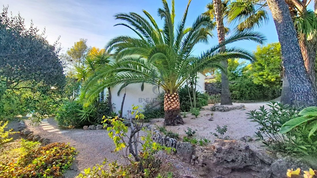Villa in Le Dramont-Agay-Anthéor-Le Trayas, Saint-Raphaël, France 5 - 19029915