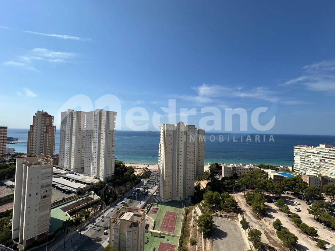 Apartment in Benidorm, Valencian Community, Spain 1 - 19021600
