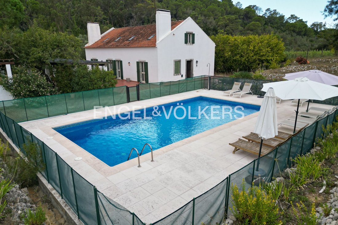 Finca in Azeitao (Sao Lourenco e Sao Simao), Setubal, Portugal 5 - 19021617