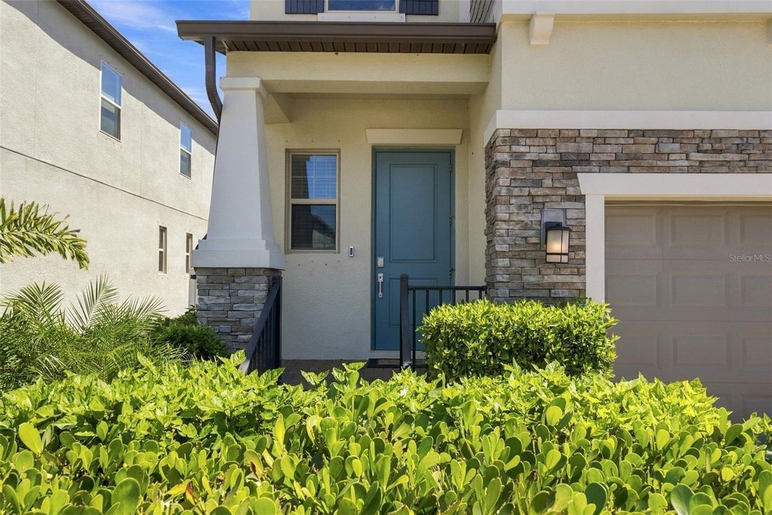House in Tampa, Florida, United States 3 - 19027151