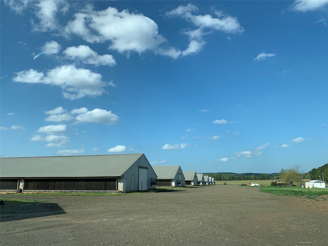 Farm Ranch in San Augustine, Texas, United States 5 - 19023908