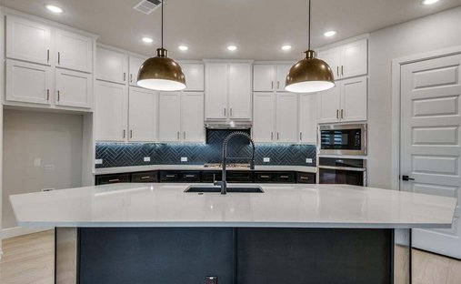 Maison à Little Elm, Texas, États-Unis 1