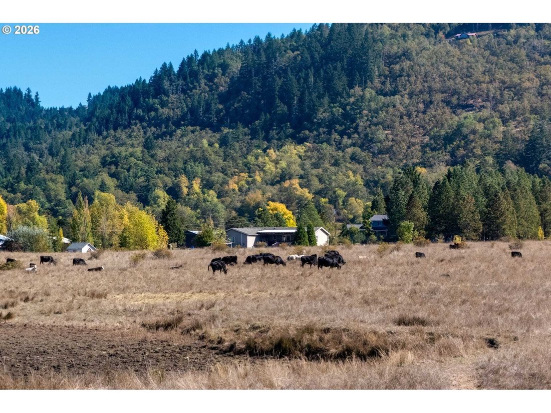 House in Roseburg, Oregon, United States 5 - 19023098