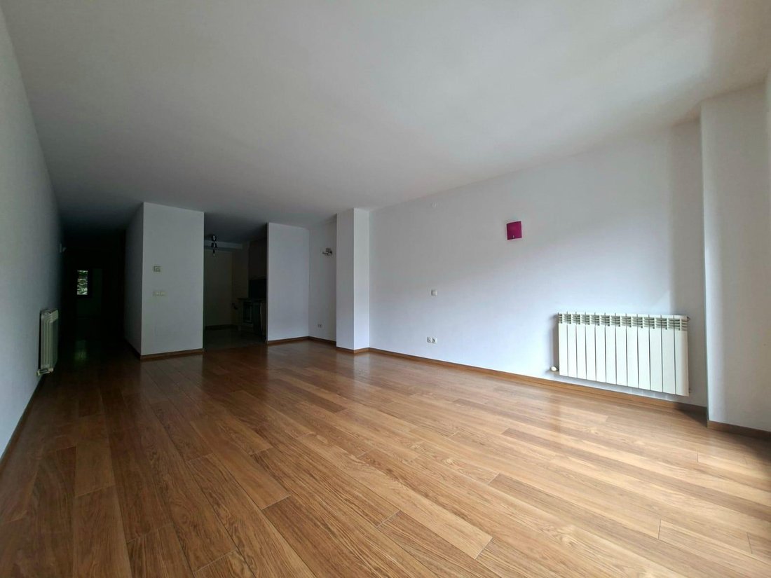 Apartment in La Massana, La Massana, Andorra 3 - 19023369
