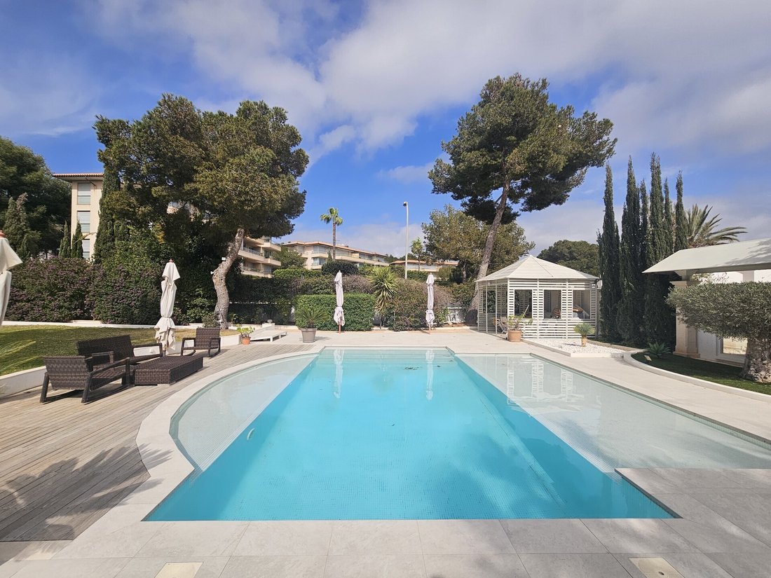 Villa in Sol de Mallorca, Calvia, Balearic Islands 3 - 19021361
