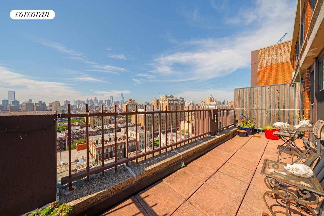 Co Op in New York, New York, United States 3 - 19022201