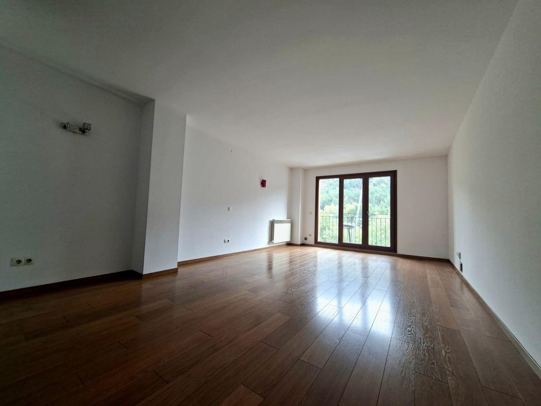 Apartment in La Massana, La Massana, Andorra 1 - 19023369