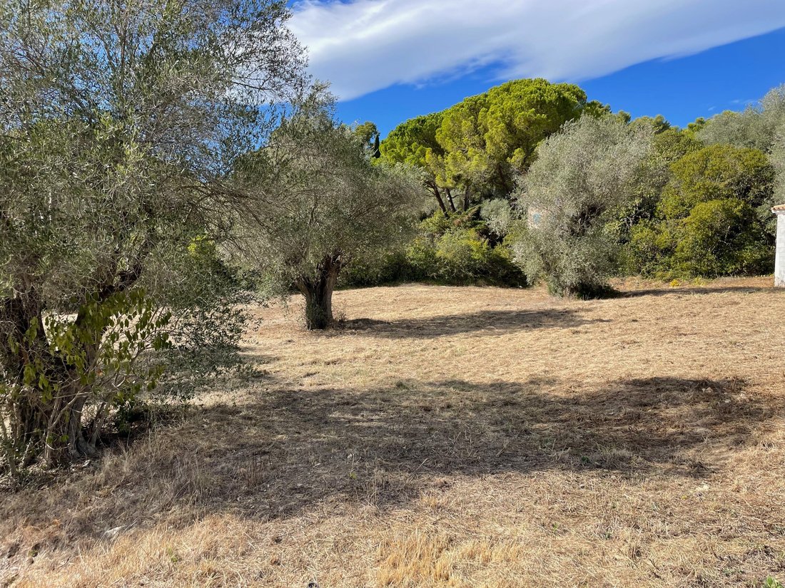 Land in Mougins, Provence-Alpes-Côte d'Azur, France 1 - 19028151